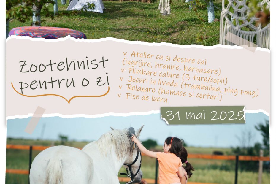 atelier echitatie