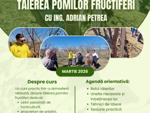 Curs: Tăierea pomilor fructiferi